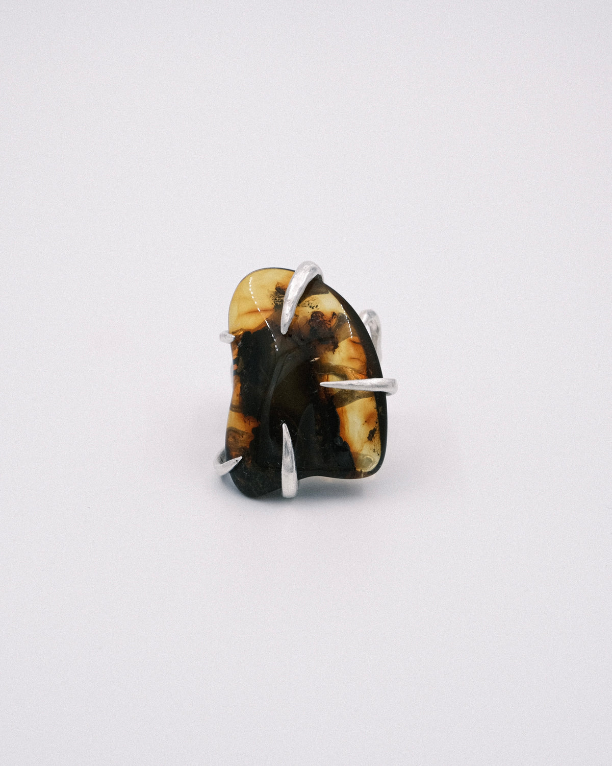 Chitin No.1
