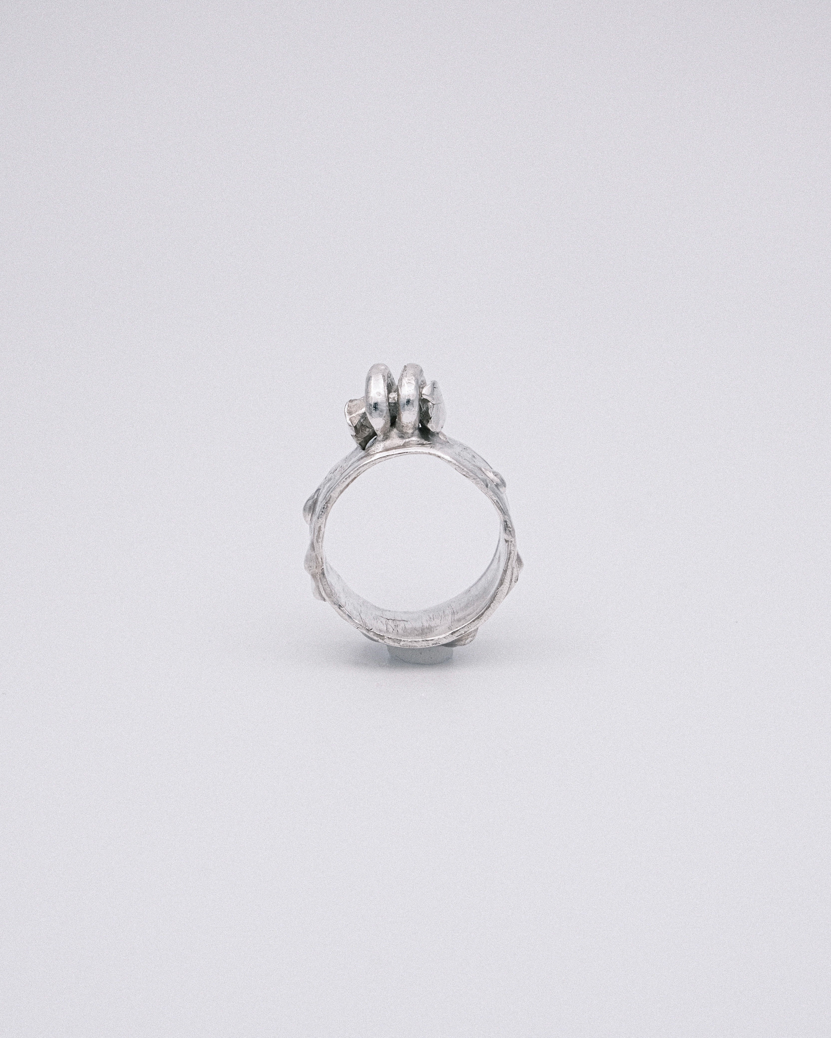 The Sentry Ring