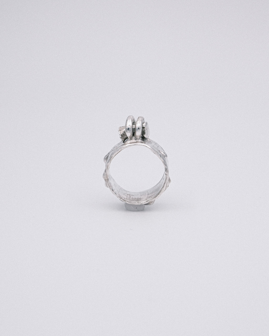 The Sentry Ring