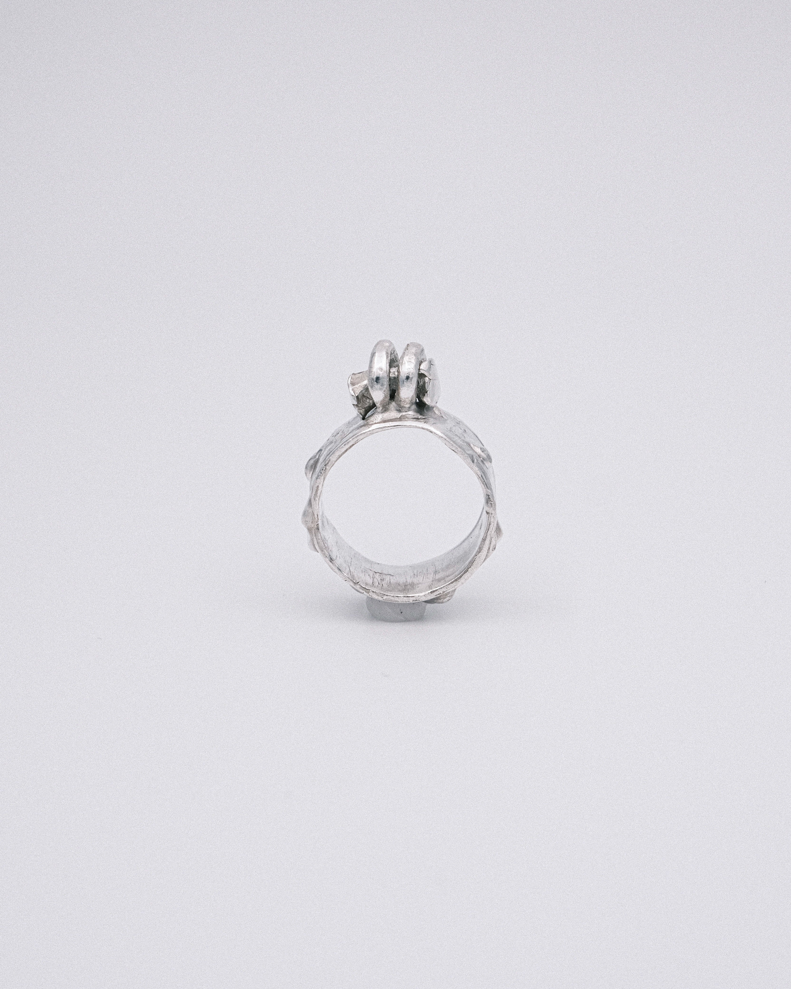 The Sentry Ring