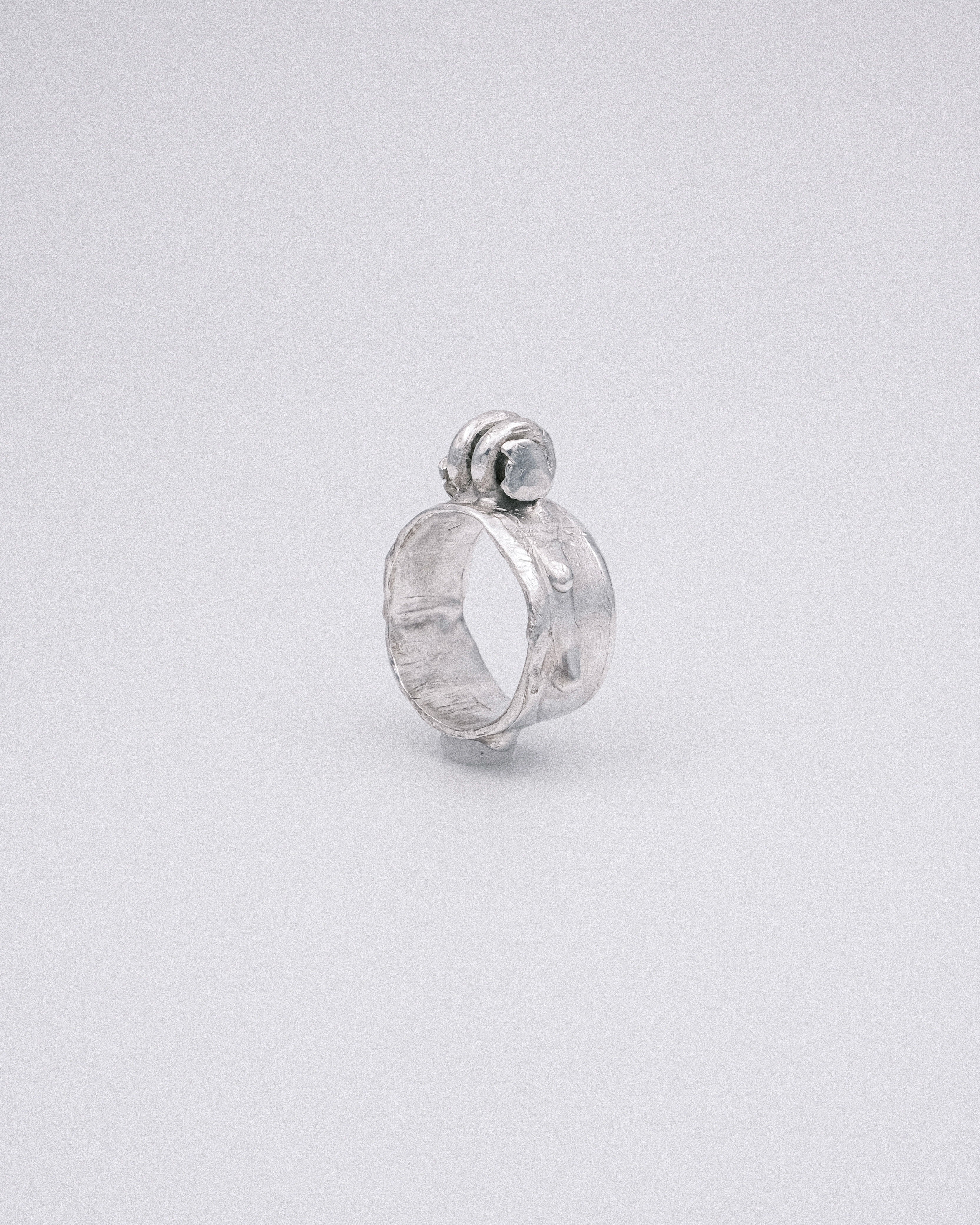 The Sentry Ring