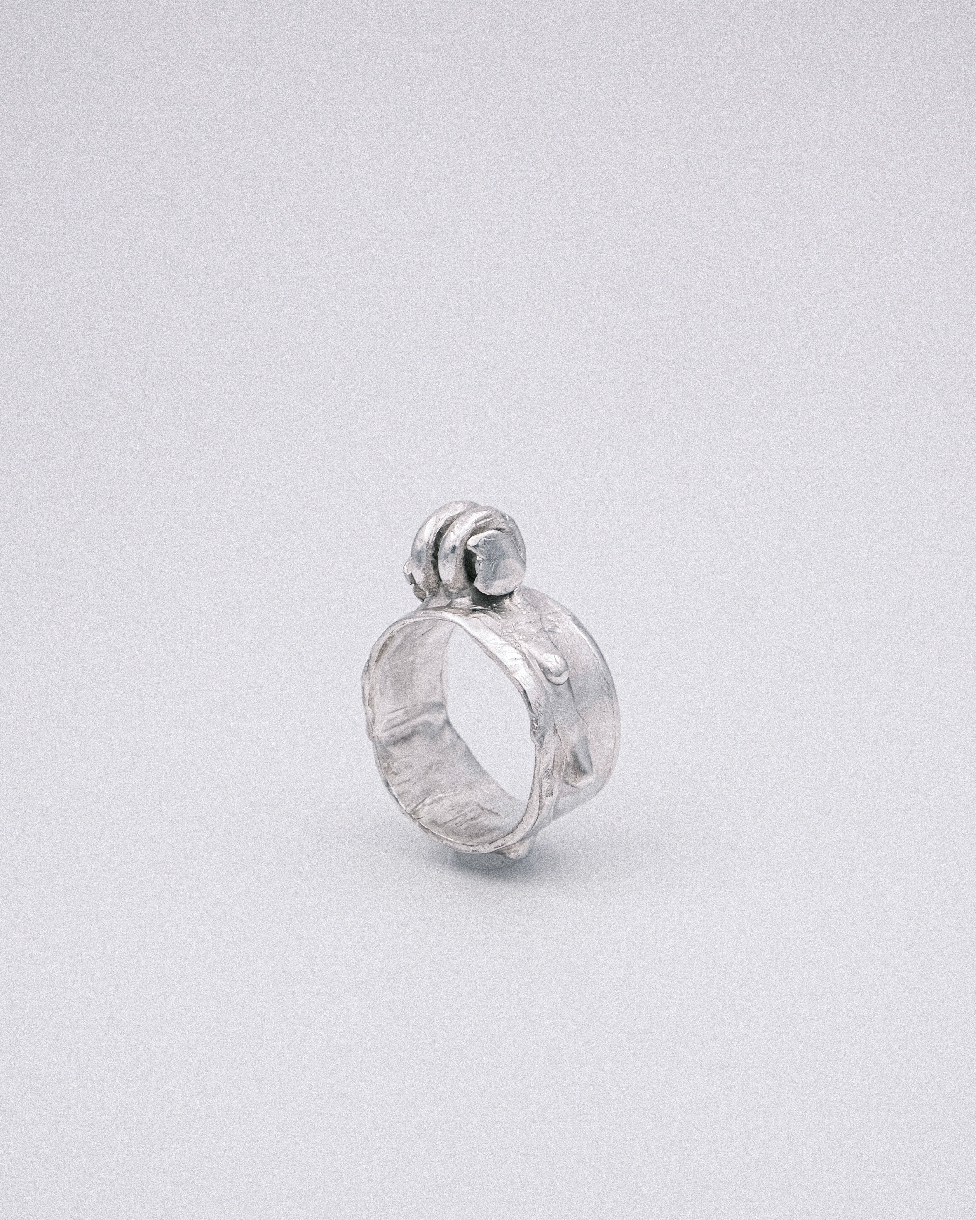 The Sentry Ring